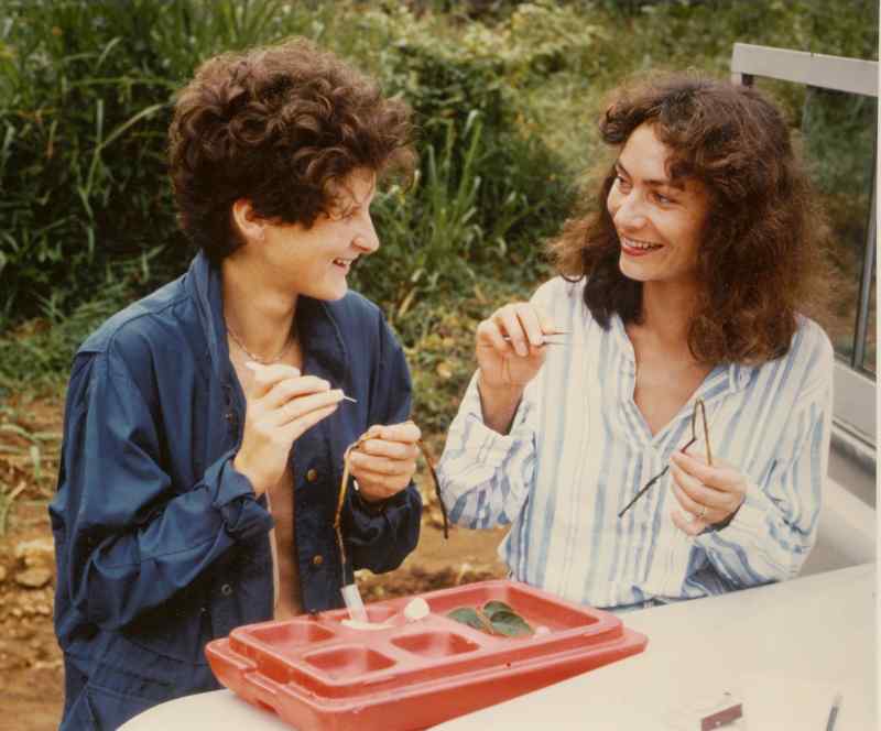 Doro-Christa-Mai-1985-Blackwater Collection of Simulium larvae for cytotaxonomy in 1985
