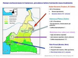 Human onchocerciasis in Cameroon, before the onset of ivermectin-treatments.