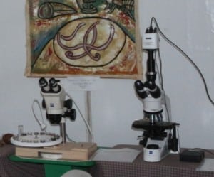 Microscopes