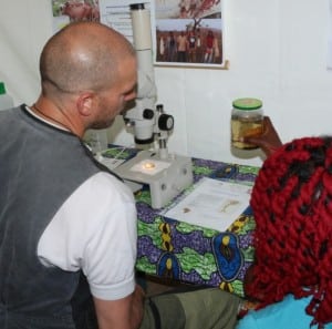 Mosquito-larvae