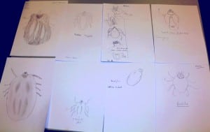 Day-5-Ticks-drawings