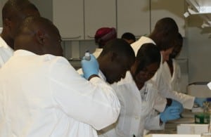 Mol-biol-lab-preparing-PCR-2