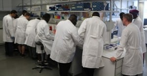 Mol-biol-lab-preparing-PCR